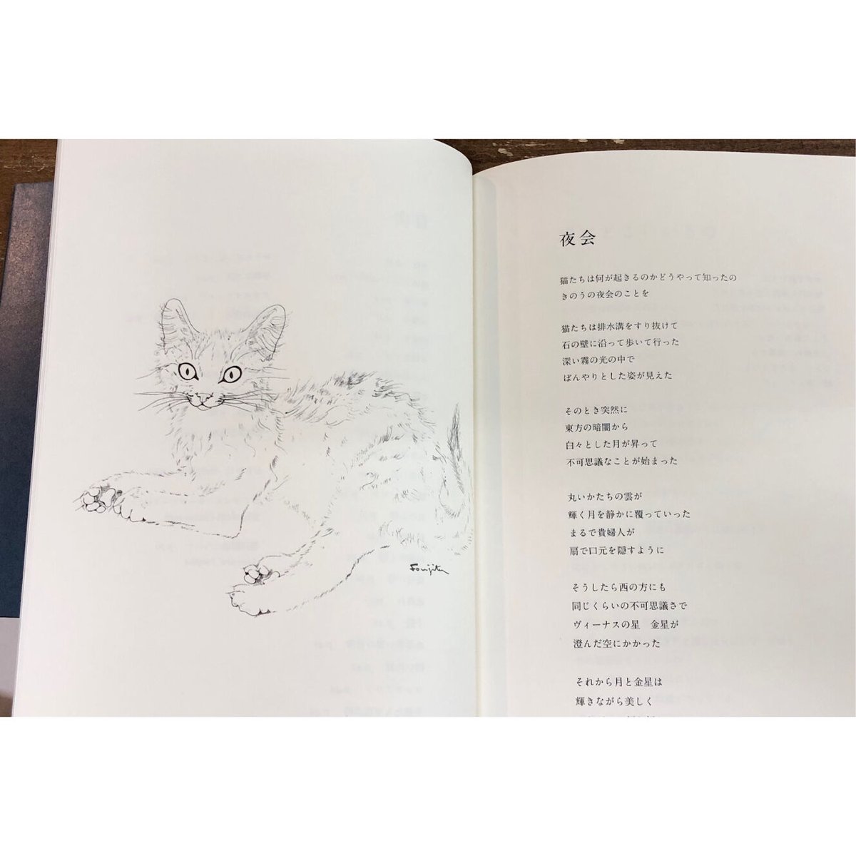 エリザベス・コーツワース=詩 藤田嗣治=絵/夜と猫 | Title WEB SHOP エリザベス・コーツワース=詩 藤田嗣治=絵/夜と猫 | Title WEB SHOP