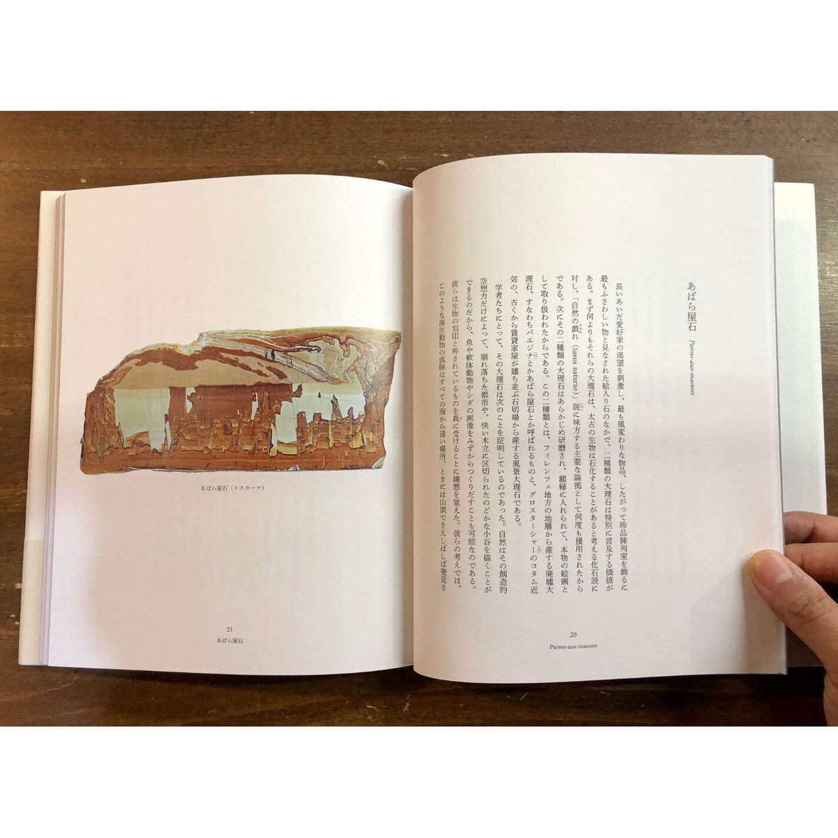 ロジェ・カイヨワ／石が書く | Title WEB SHOP