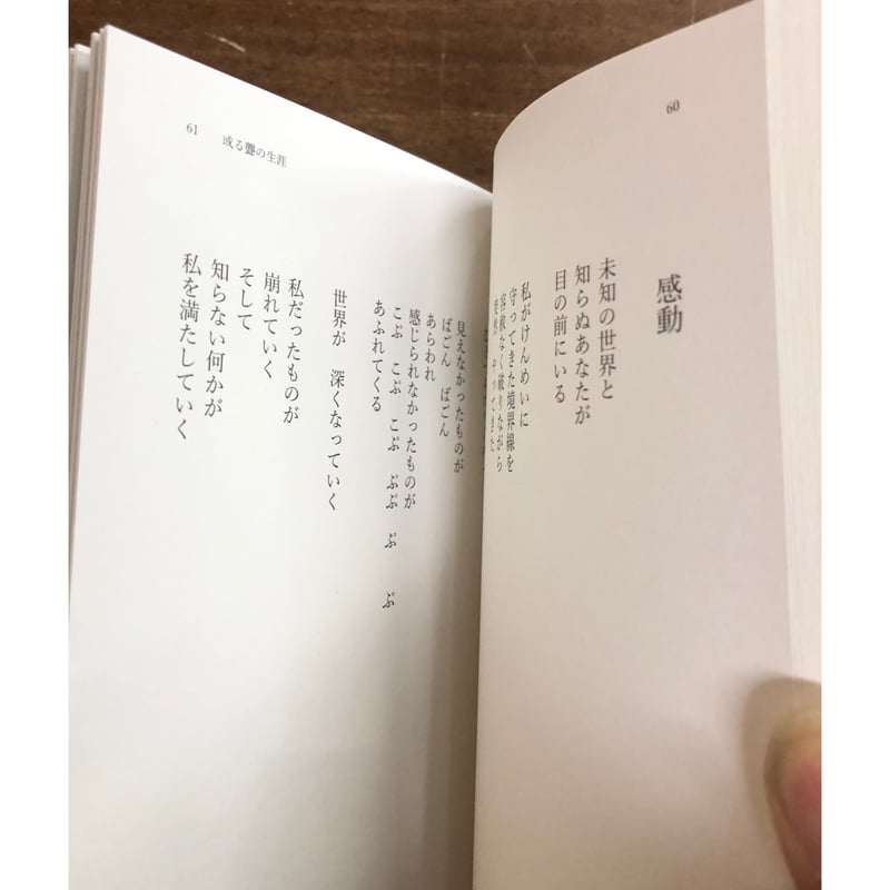 齋藤陽道=詩 もりやままなみ=写真／まなざしの川をわたる ＊サイン入り