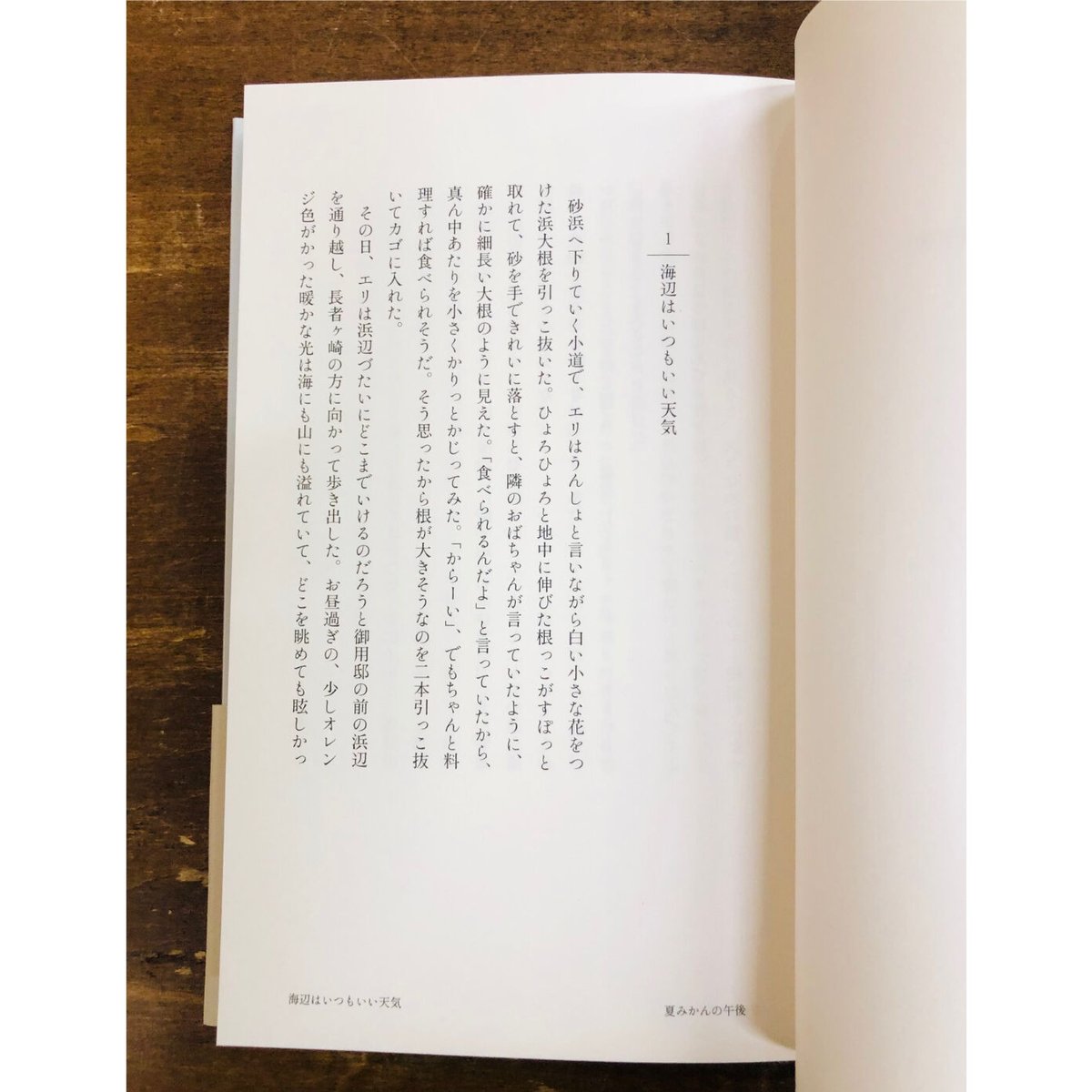 永井宏／夏みかんの午後 | Title WEB SHOP