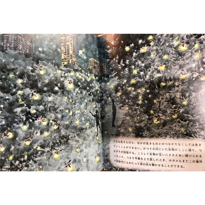 大地の花 ネパール人々のくらしと祈り 公文健太郎写真集 大地の花: ネパール人々のくらしと祈り : 公文健太郎写真集