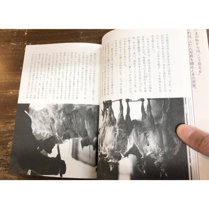 にわとりこ様 確認用 にわとりこ様 確認用 繁延あづさ／鶏まみれ | Title WEB SHOP