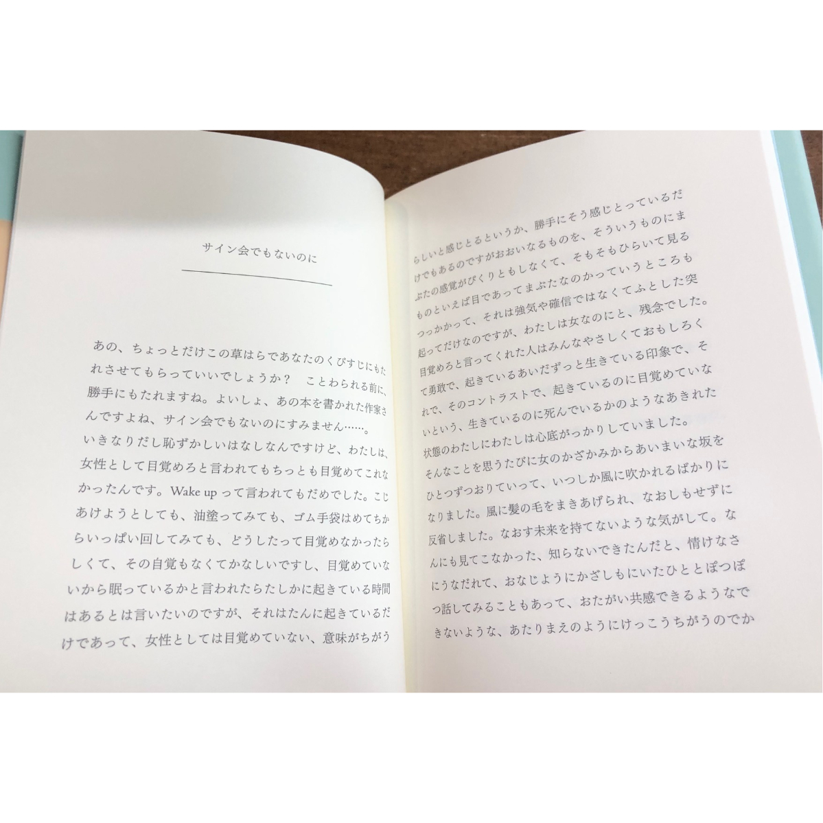 柴田聡子／ダイブ・イン・シアター | Title WEB SHOP