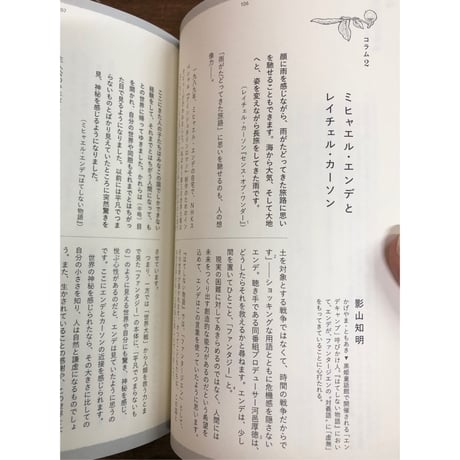 影山知明／大きなシステムと小さなファンタジー