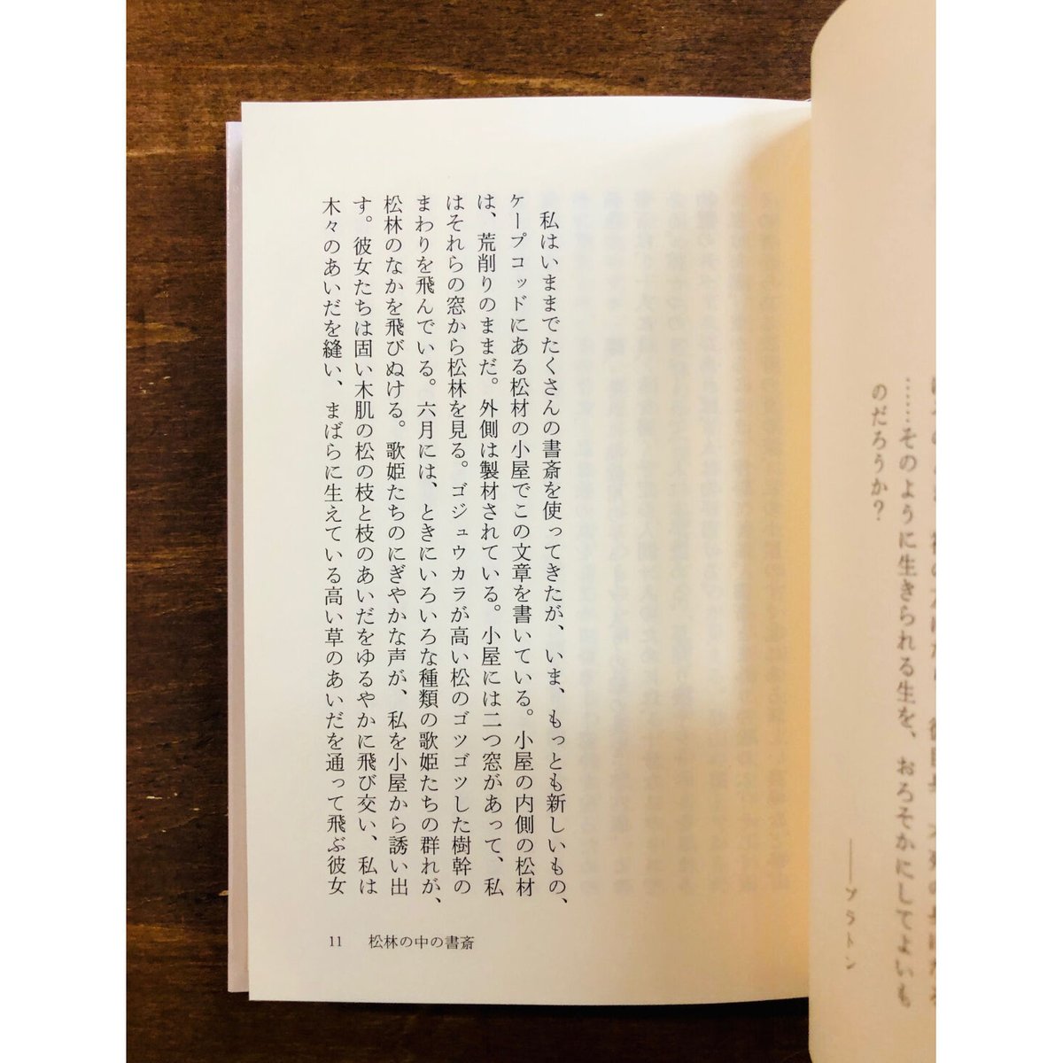 アニー・ディラード／本を書く | Title WEB SHOP