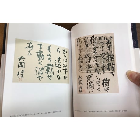 大岡信 言葉を生きる、言葉を生かす