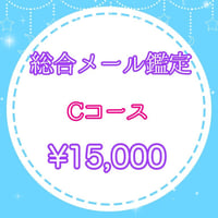 総合鑑定<Cコース>用1,5000円チケット