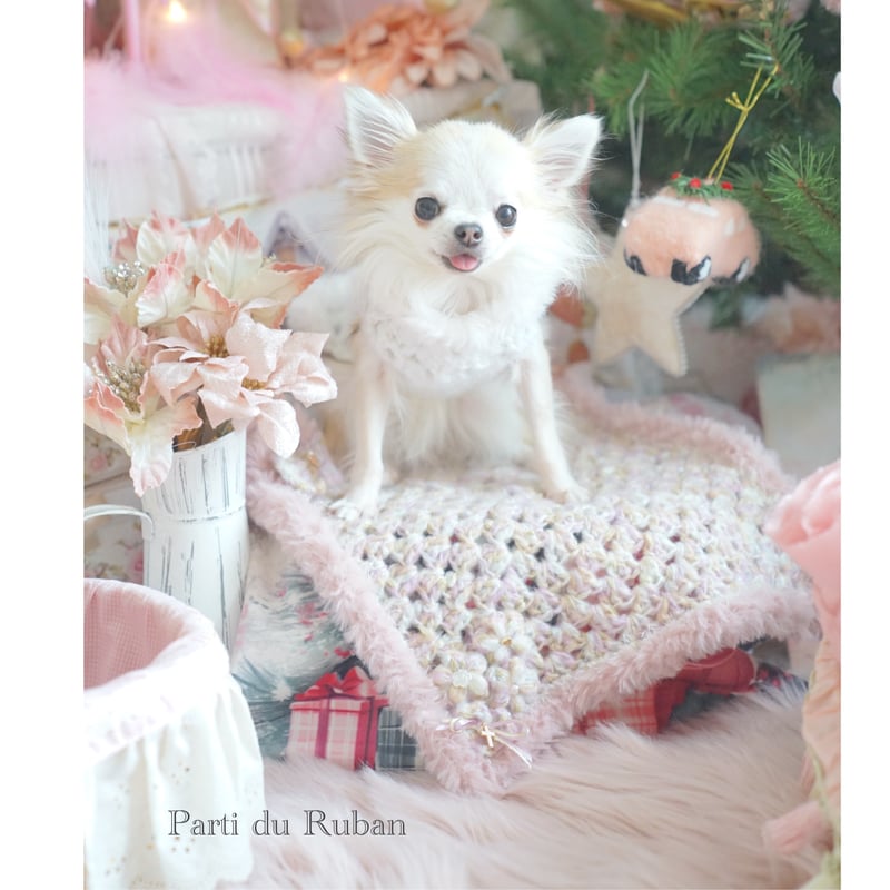 Photo Mat ニュアンスピンク | Parti du Ruban