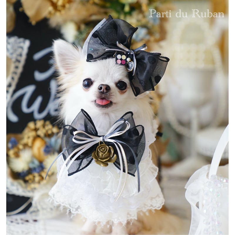 mariage Dot Black チョーカー、ヘアアクセサリー | Parti du Ruban