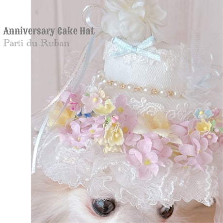 Anniversary Cake Hat