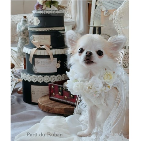 Mariage Collection White お帽子、花冠、ヘアアクセサリー、チョーカー