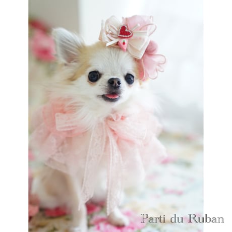 Valentine sweet pink Cape Type neck accessory