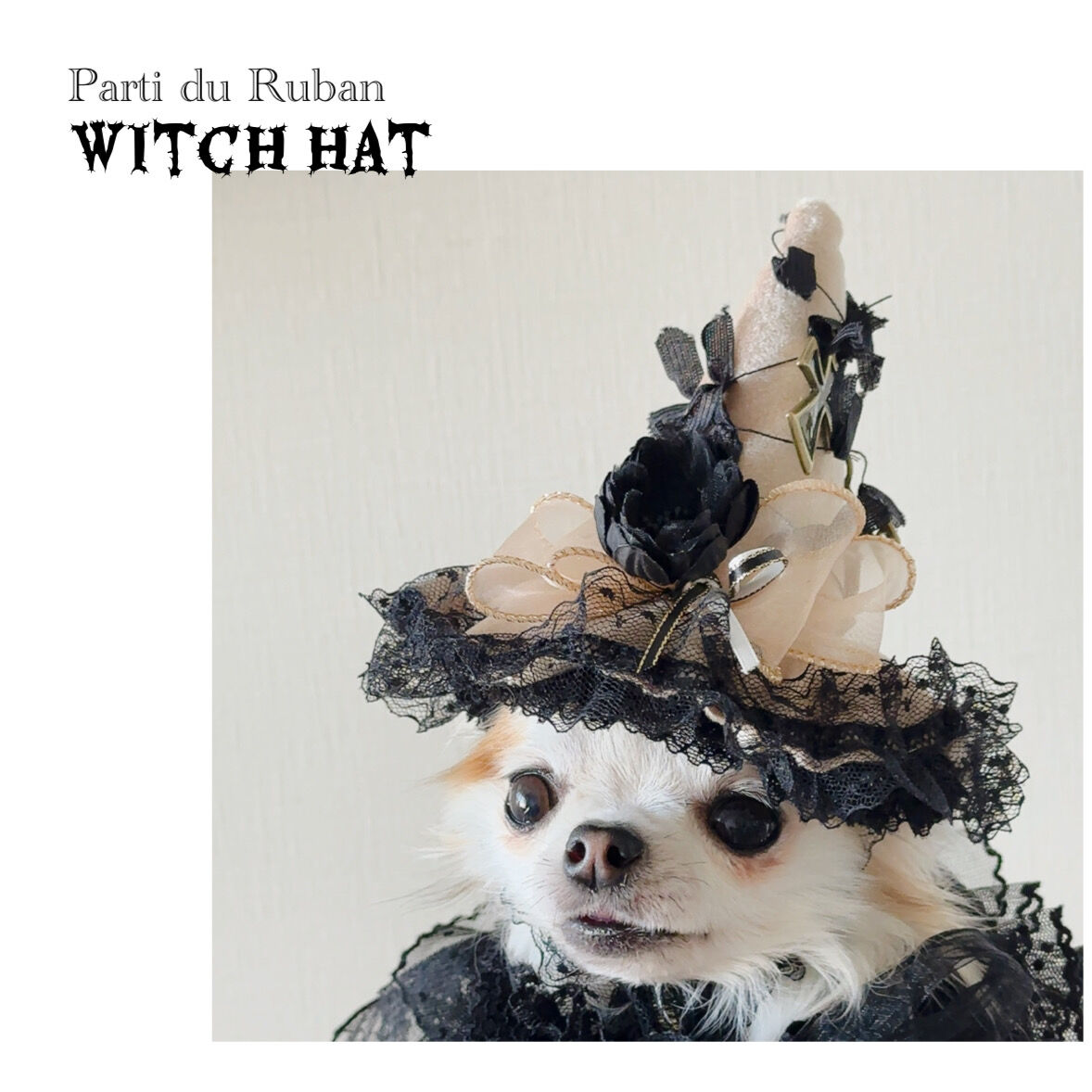 Witch Hat ツバ小さめ&おリボンチョーカー