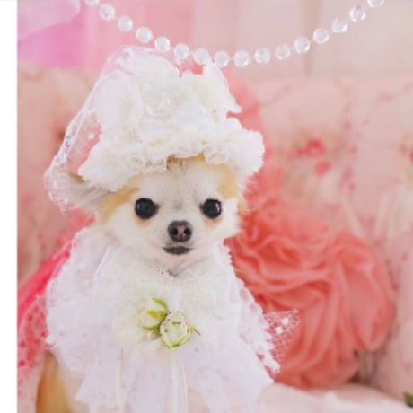 Mariage Collection White お帽子、花冠、ヘアアクセサリー、チョーカー