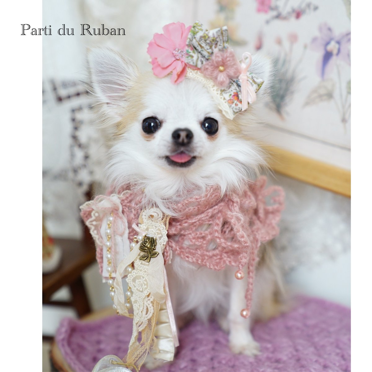 再販》Forest Picnic シリーズ | Parti du Ruban