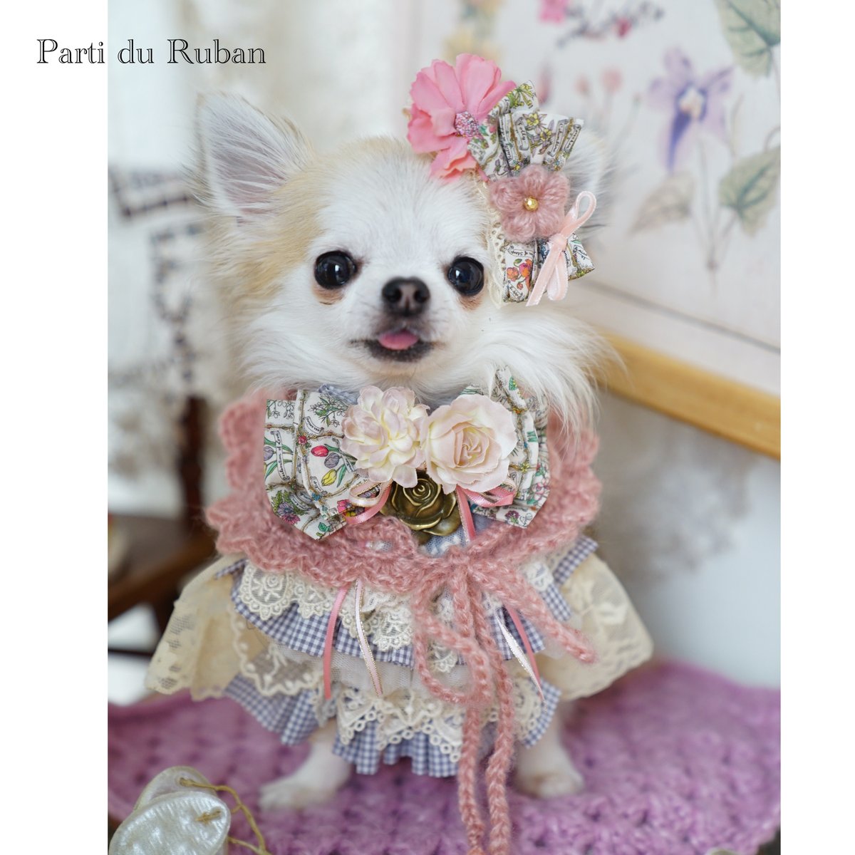 再販》Forest Picnic シリーズ | Parti du Ruban