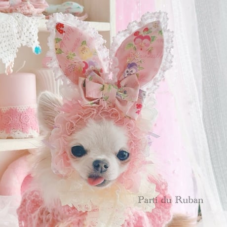 Spring  Collection 2026 Pink ケープ.ヘアアクセサリー、うさ耳