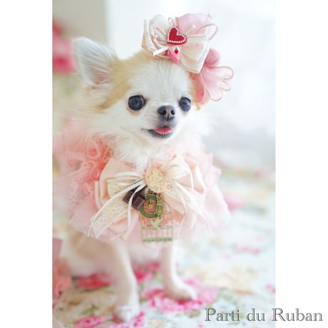 Valentine sweet pink Cape Type neck accessory