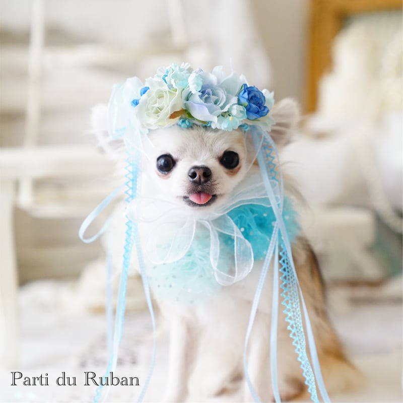 Flower Shower ブルー🩵花冠、ポンポンチョーカー | Parti du Ruban
