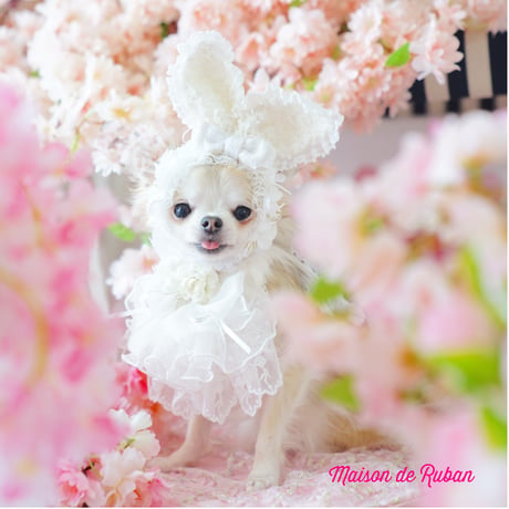 Spring Bouquet White うさ耳、チョーカー
