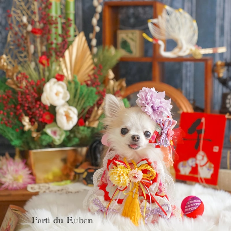 Wa.Ruban No.1 ヘアアクセサリー&チョーカー | Parti du Ruban