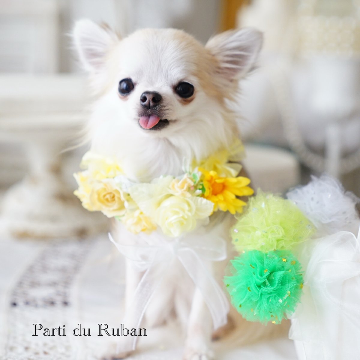 Flower Shower イエロー💛花冠、ポンポンチョーカー | Parti du Ruban