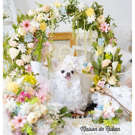mariage Dot White チョーカー、ヘアアクセサリー