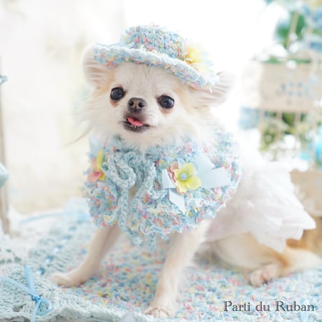 Spring  Collection Pastel Garden ブルー  Hat.ケープ.Photomat