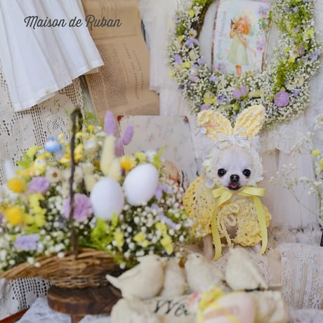 Spring  Collection 2026 cotton yellow ケープ.うさ耳