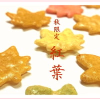 秋限定　「紅葉」