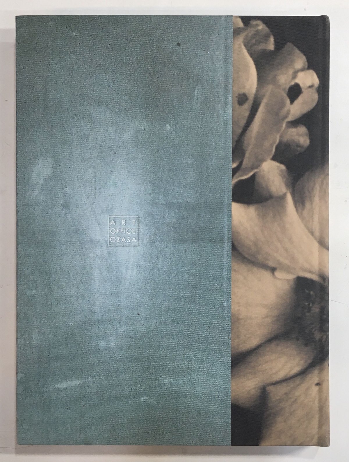 Index and Footprints 」Kunie Sugiura / 「痕跡と足跡