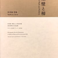 土壁と柿