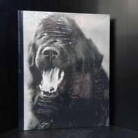 GENTLE GIANTS Bruce Weber(専用）