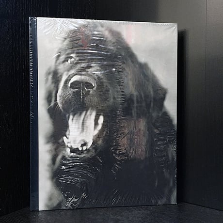 GENTLE GIANTS Bruce Weber(専用）