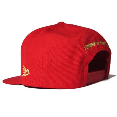 CLASSIC MATERIAL NY / Ghostface Killah Cap