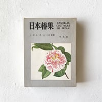 『日本椿集』/ 文・津山尚、画・二口善雄