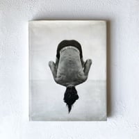 『PICTURES』/ Herb Ritts
