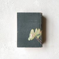 ぼくらの国なんだぜ』/ ナット・ヘントフ | TEIBO BOOKS