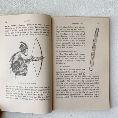 『The AKAS』/ Raghuvir Shinba