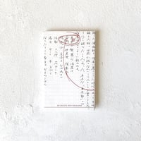 ぼくらの国なんだぜ』/ ナット・ヘントフ | TEIBO BOOKS