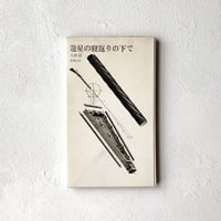 ぼくらの国なんだぜ』ナット・ヘントフ ぼくらの国なんだぜ