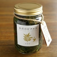 金時草　【金沢のピクルス】