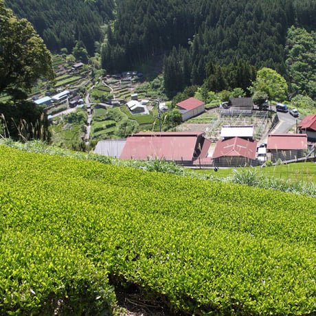 峠の杖　4種類　【10本入り】
