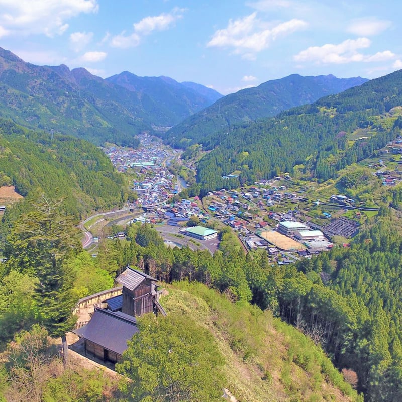 kaokao◆利平栗蒸し羊羹1本 kakao様専用◇利平栗蒸し羊羹1本 基本の栗蒸し羊羹