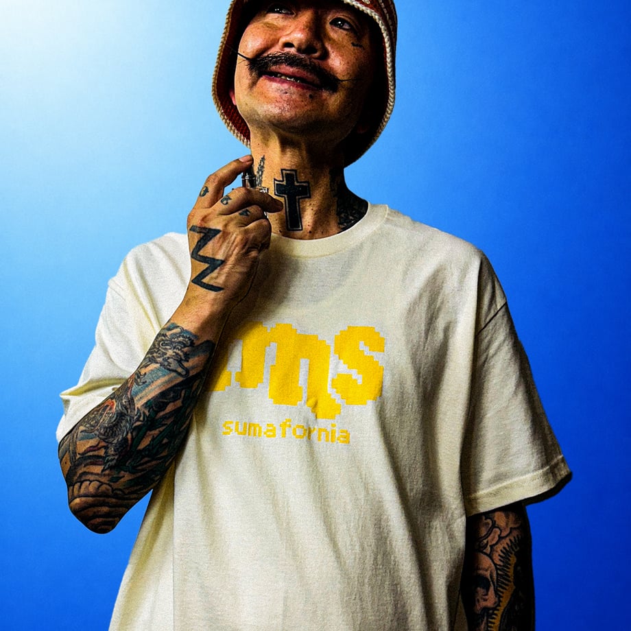 6a391527720e980ed2b31ad9