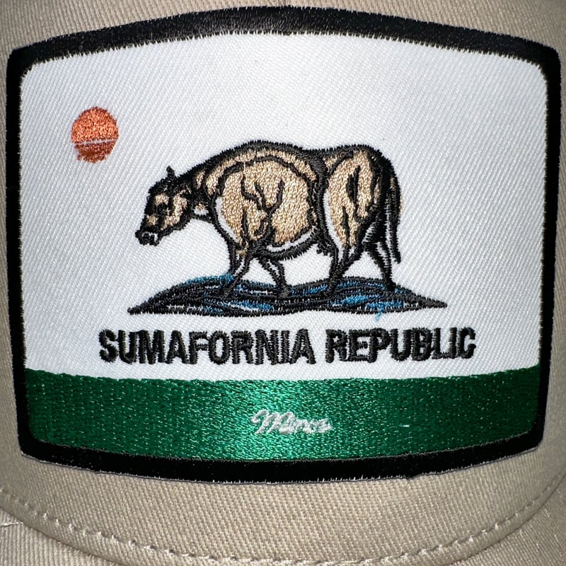 【砂漠の狐】CHIPP マクベスアメリカ　紺ブレザー シングル 金ボタン サイトマスター フィッシング 偏光 サングラス