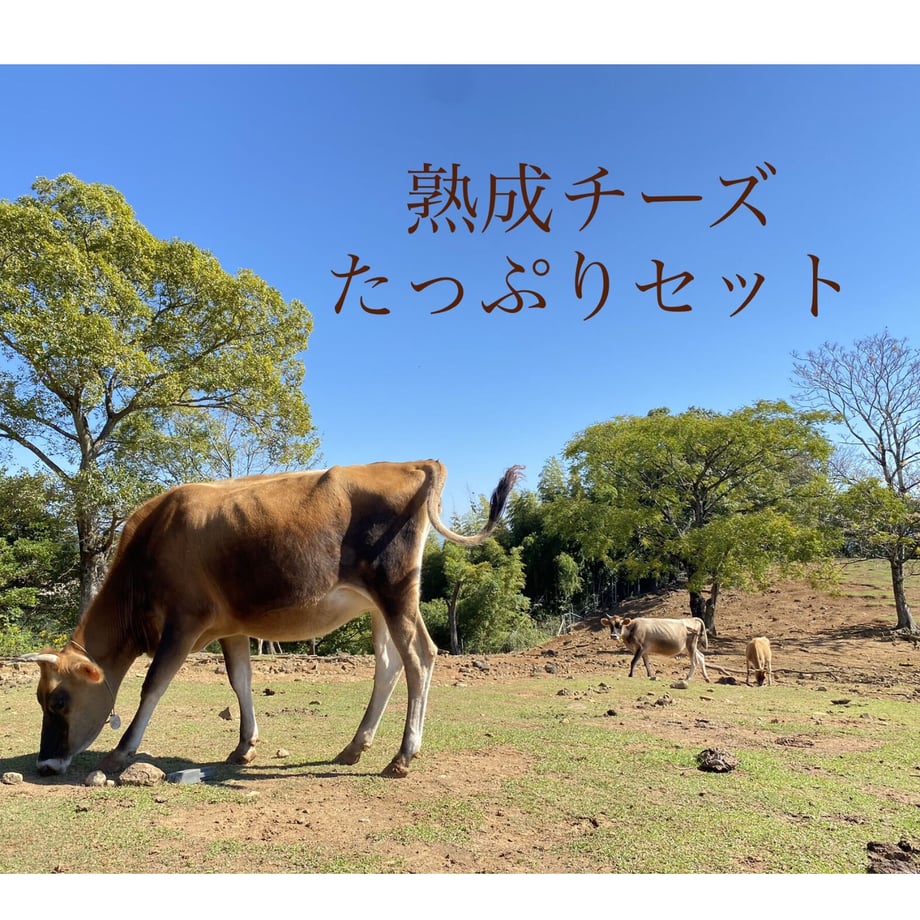 63c41026c1f8c53e92391a7c