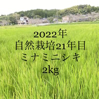 2022年　自然栽培米　2kg