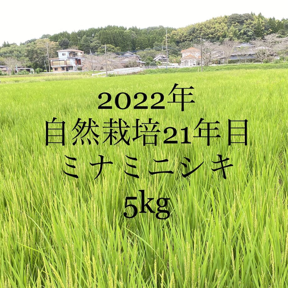 63805a9bd7e1d83e88f31ec3