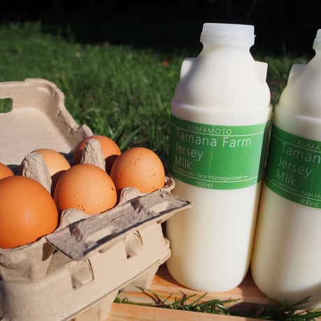 玉名牧場ジャージーミルク900ml×2本と自然卵6個セット